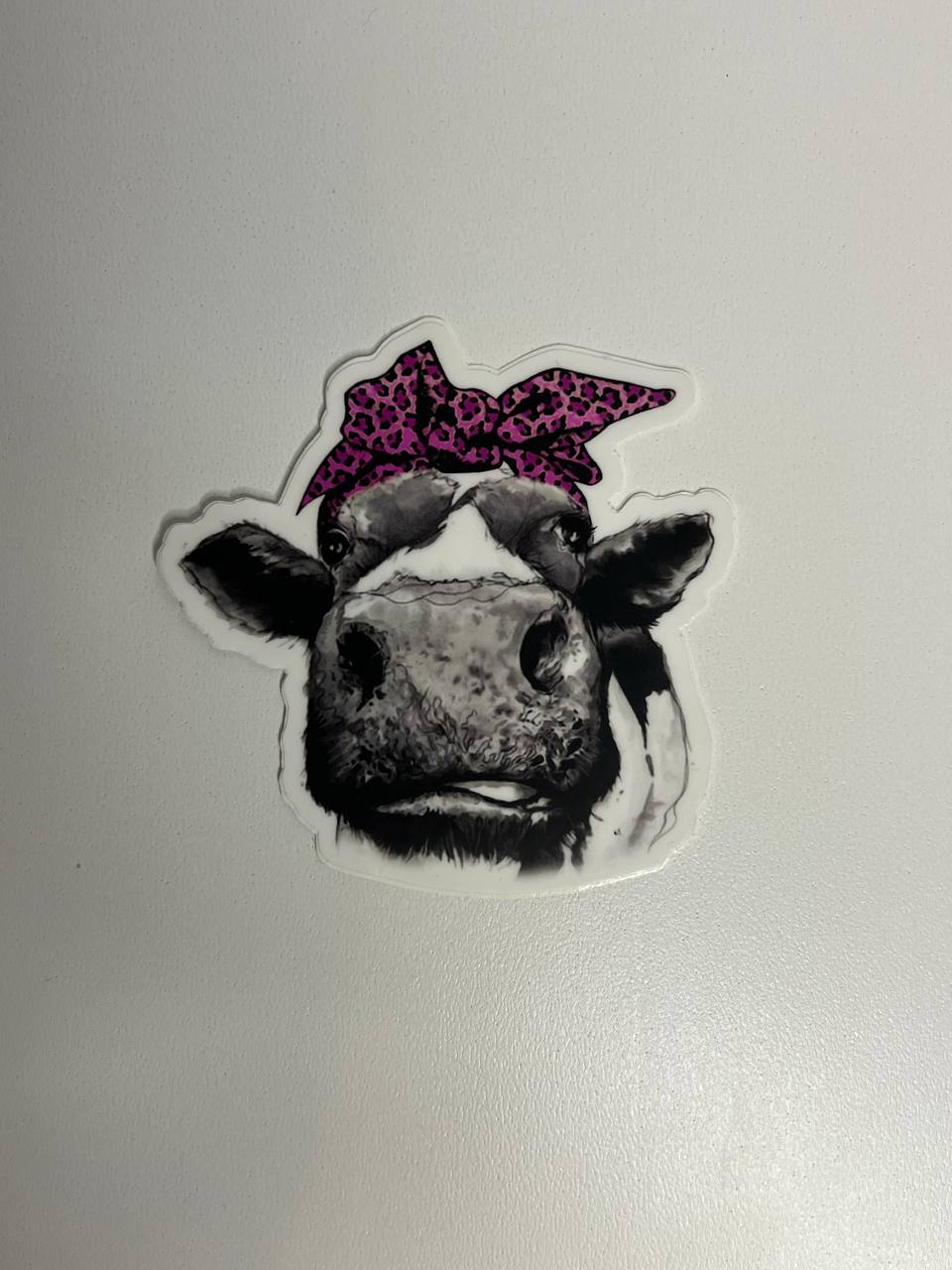 Sticker of a cow's face with a purple bandana on a light gray background